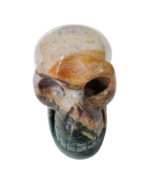 Sea Jasper Skull (Madagadcar)