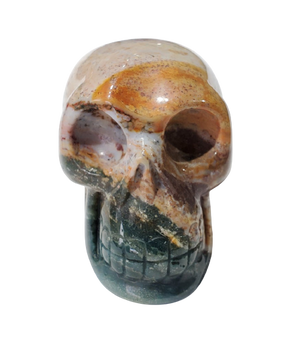 Sea Jasper Skull (Madagadcar)