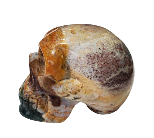 Sea Jasper Skull (Madagadcar)