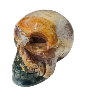 Sea Jasper Skull (Madagadcar)