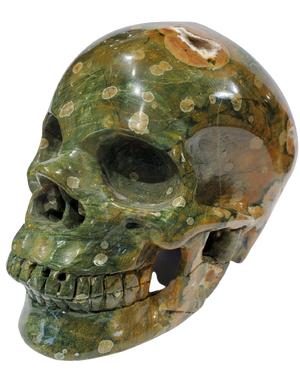 Rainforest Jasper Skull