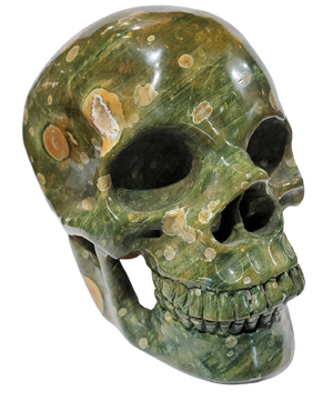 Rainforest Jasper Skull