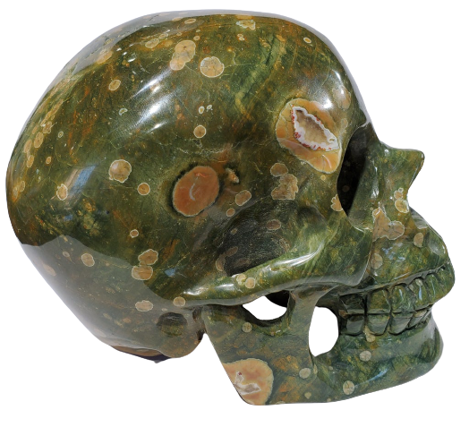 Rainforest Jasper Skull