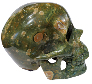 Rainforest Jasper Skull