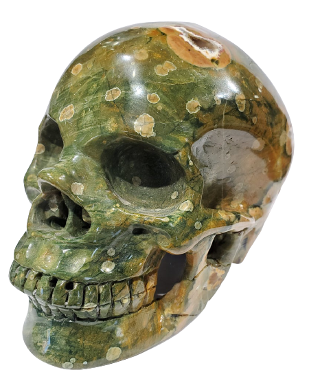 Rainforest Jasper Skull