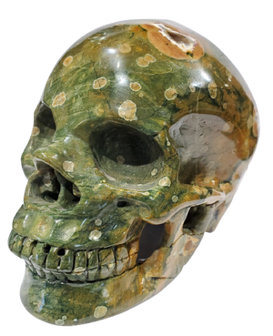 Rainforest Jasper Skull