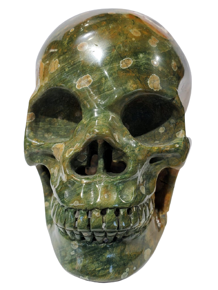 Rainforest Jasper Skull