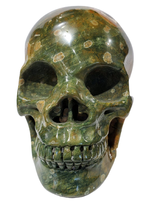 Rainforest Jasper Skull