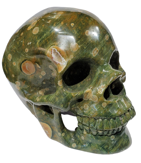 Rainforest Jasper Skull