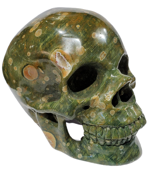 Rainforest Jasper Skull