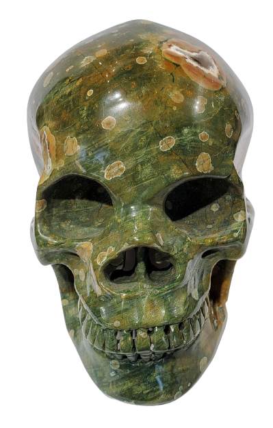 Rainforest Jasper Skull