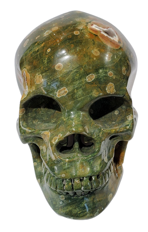 Rainforest Jasper Skull