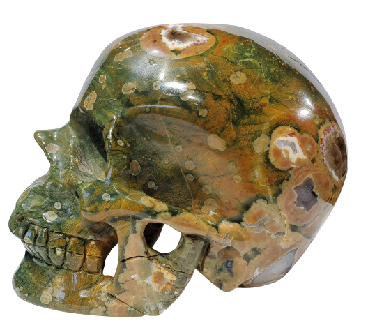 Rainforest Jasper Skull