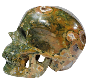 Rainforest Jasper Skull