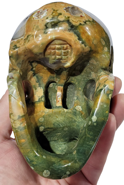 Rainforest Jasper Skull