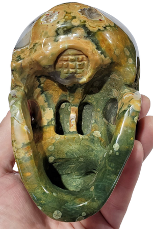 Rainforest Jasper Skull