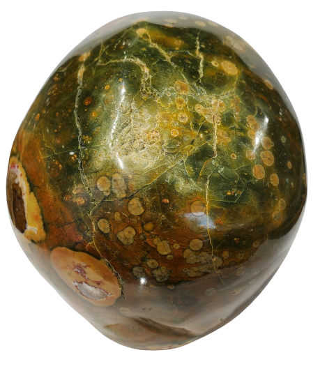 Rainforest Jasper Skull