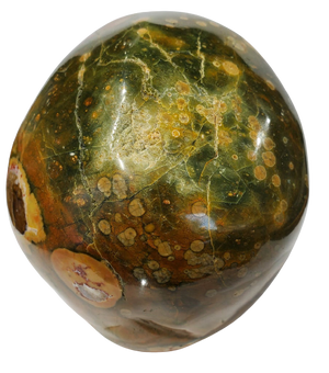 Rainforest Jasper Skull