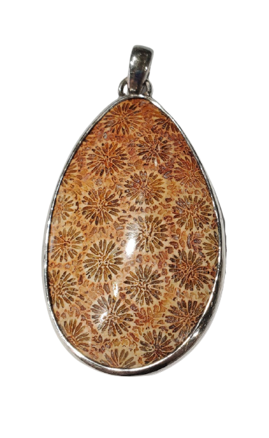 Fossilized Coral Pendant