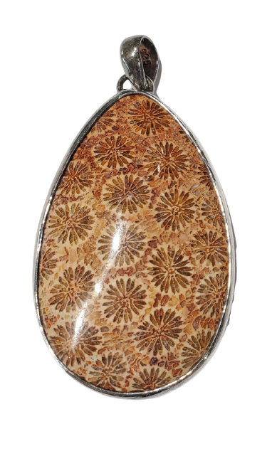 Fossilized Coral Pendant