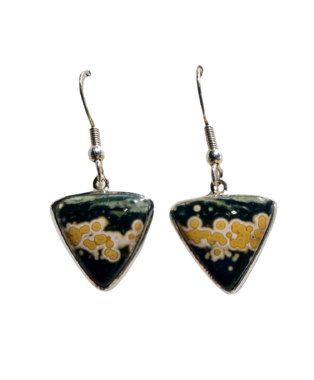 Ocean Jasper Earrings, Sterling Silver