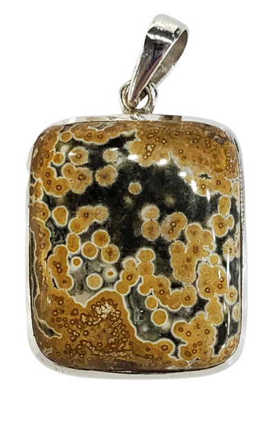 Ocean Jasper Pendant