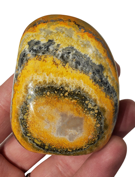 Bumble Bee Jasper Free Form