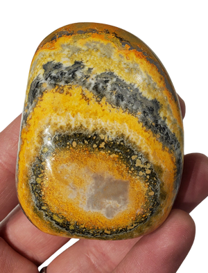 Bumble Bee Jasper Free Form