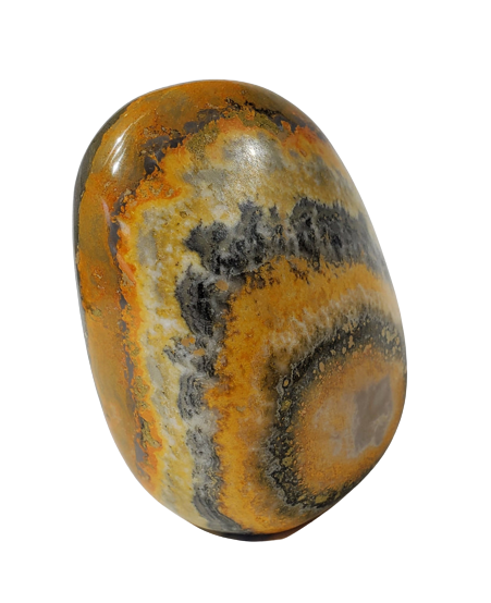 Bumble Bee Jasper Free Form