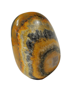 Bumble Bee Jasper Free Form