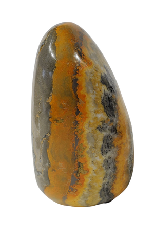 Bumble Bee Jasper Free Form