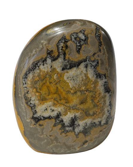 Bumble Bee Jasper Free Form