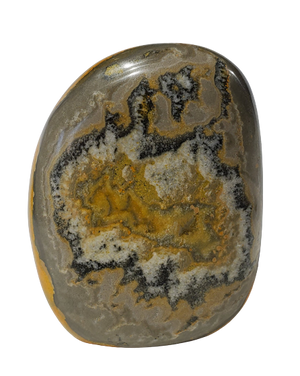 Bumble Bee Jasper Free Form