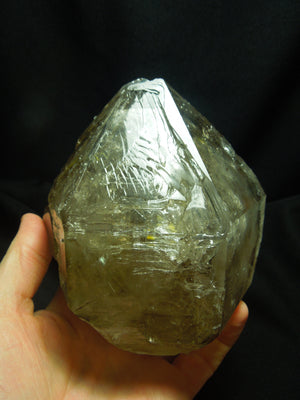 Smoky Elestial Quartz Enhydro, 3.1 lbs.