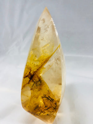 Golden Healer Quartz with Dendrites