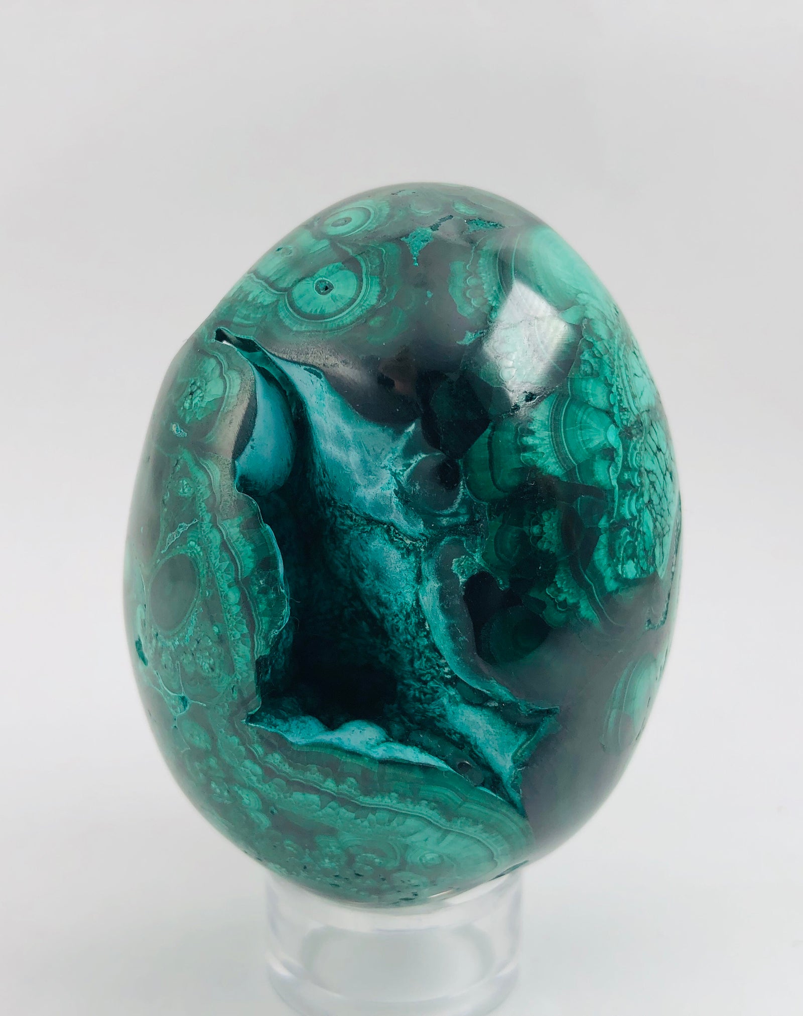 Malachite Egg with Chrysocolla