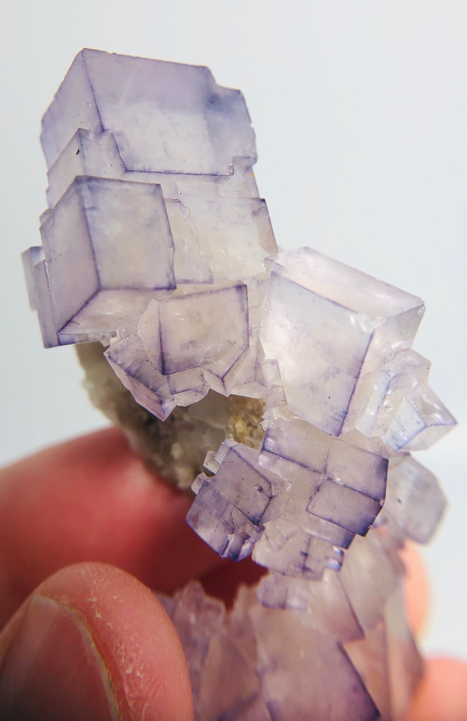 Fluorite, Tauorirt Mine, Morocco