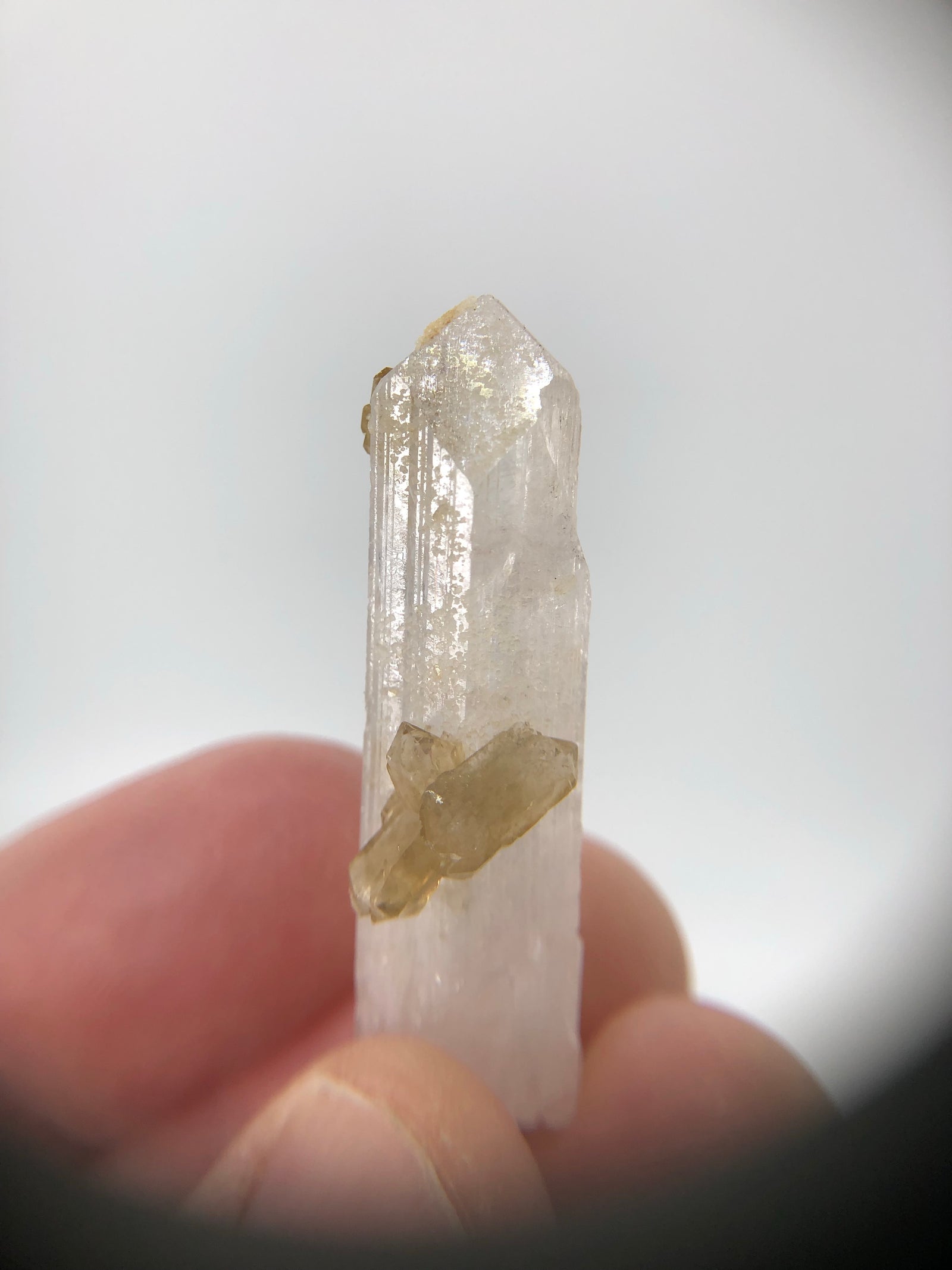Danburite with Citrine, Mexico