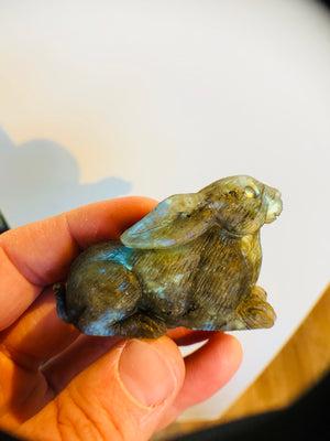 Labradorite Carved Rabbit