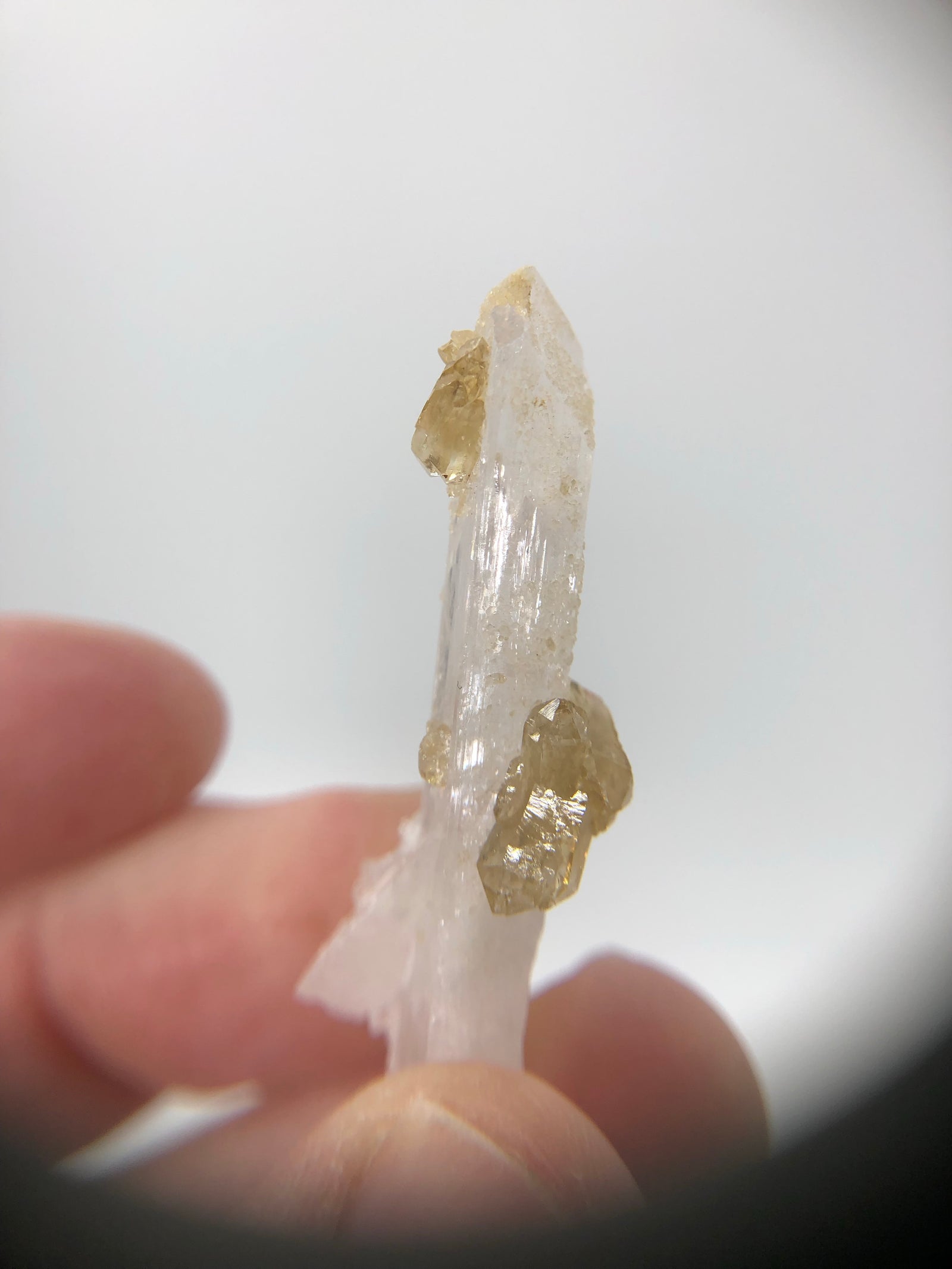Danburite with Citrine, Mexico