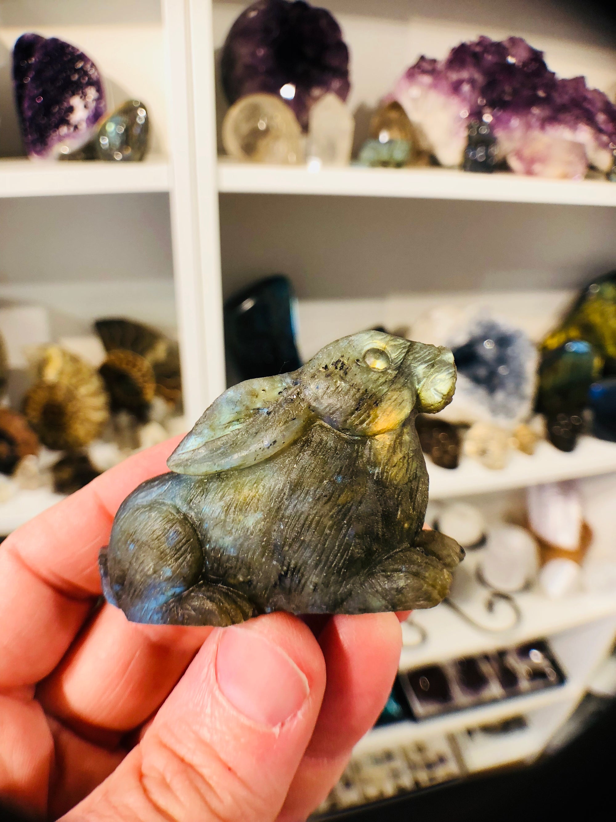 Labradorite Carved Rabbit