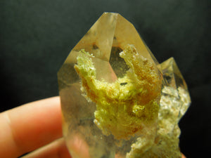 Chlorite Quartz Cluster w/ internal pyrite cube