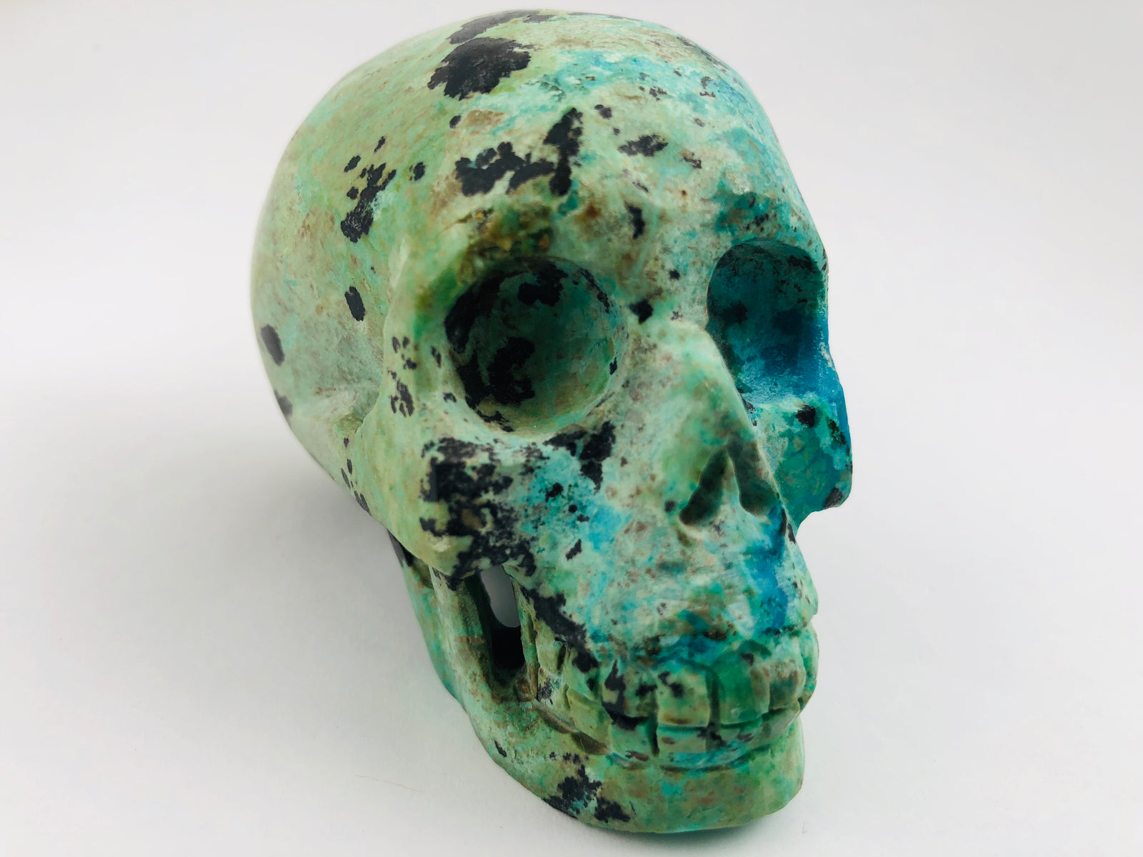 Chrysocolla Skull