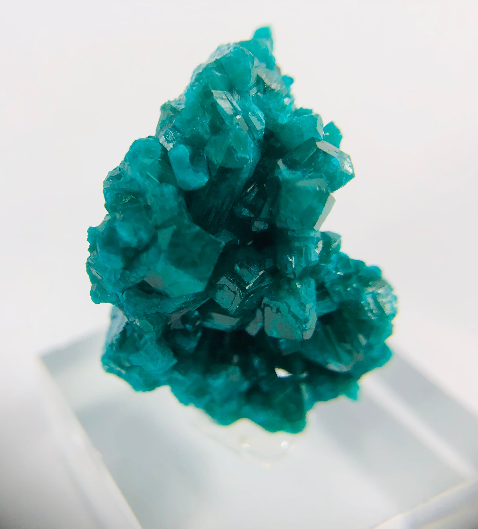 Dioptase Specimen, DRC