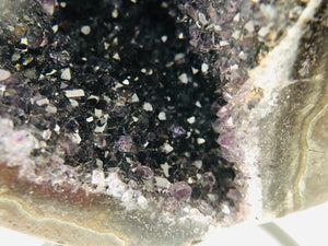 Druzy Black Quartz Stalactite Formation