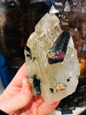 Bi-Color Tourmaline w/ Quartz