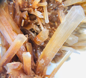 Orange Selenite, Mexico