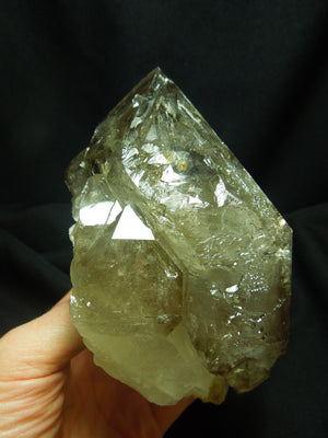 Smoky Elestial Quartz Enhydro, 3.1 lbs.