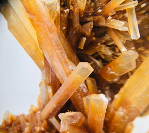 Orange Selenite, Mexico