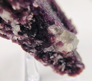 Rubellite Tourmaline on Lepidolite w/ Quartz